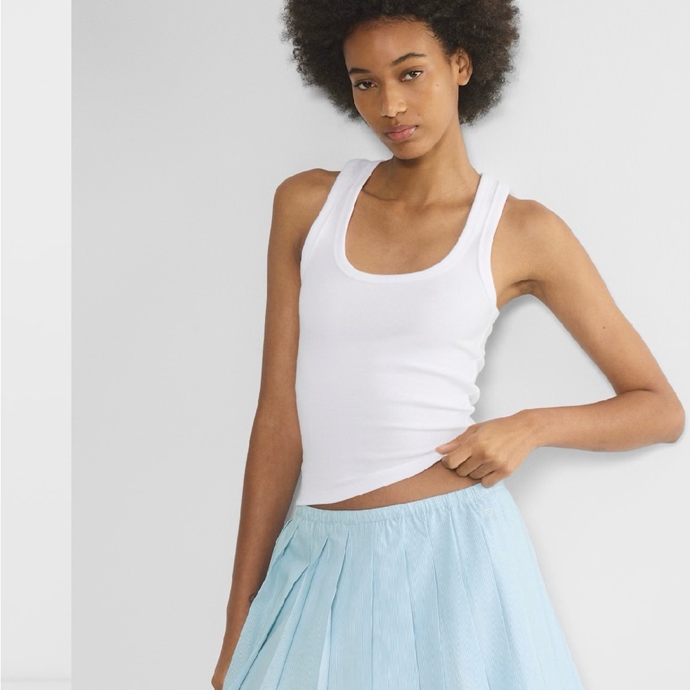 Aritzia faithful pleated poplin  microskirt medium